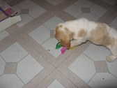 Enlarge photo 81