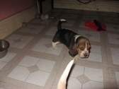 Enlarge photo 91