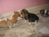 Enlarge photo 92