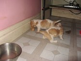 Enlarge photo 84