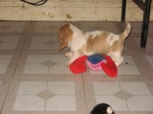 Enlarge photo 88