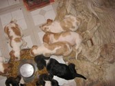 Enlarge photo 115