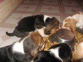 Enlarge photo 116