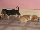 Enlarge photo 120