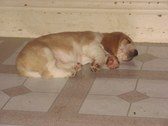 Enlarge photo 99