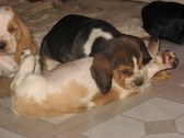 Enlarge photo 104