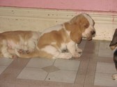 Enlarge photo 105