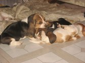 Enlarge photo 106