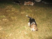 Enlarge photo 179