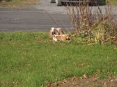 Enlarge photo 209