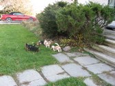 Enlarge photo 210