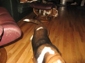 Enlarge photo 29