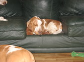 Enlarge photo 12