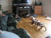 Enlarge photo 13