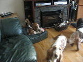 Enlarge photo 14