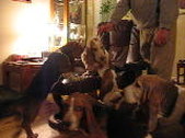 Enlarge photo 16