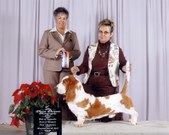 Enlarge photo 4