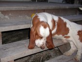 Enlarge photo 12
