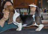 Enlarge photo 17