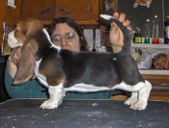 Enlarge photo 19