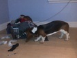 Enlarge photo 11