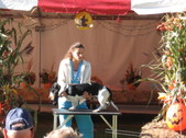 Enlarge photo 9