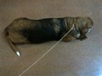 Enlarge photo 11