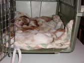 Enlarge photo 10