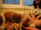 Enlarge photo 19