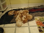 Enlarge photo 33