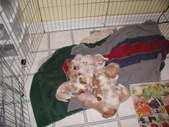 Enlarge photo 39
