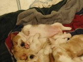 Enlarge photo 40