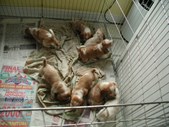Enlarge photo 46
