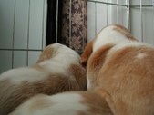 Enlarge photo 57