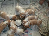 Enlarge photo 2