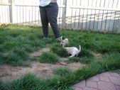 Enlarge photo 11