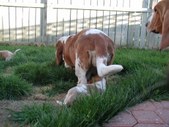 Enlarge photo 15