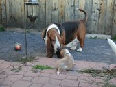 Enlarge photo 29