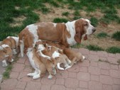 Enlarge photo 2