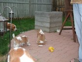 Enlarge photo 6