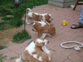 Enlarge photo 9