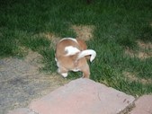 Enlarge photo 10
