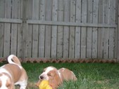Enlarge photo 11