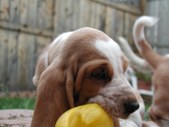 Enlarge photo 14