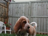 Enlarge photo 15