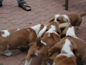 Enlarge photo 16