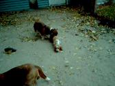 Enlarge MPEG 54