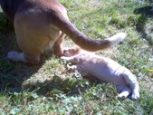 Enlarge photo 26