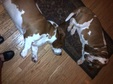 Enlarge photo 3
