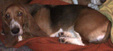 Enlarge photo 8